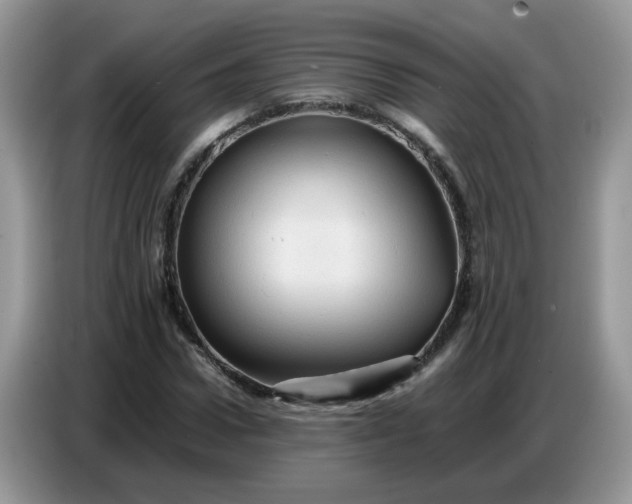 X0000086770922200704271747