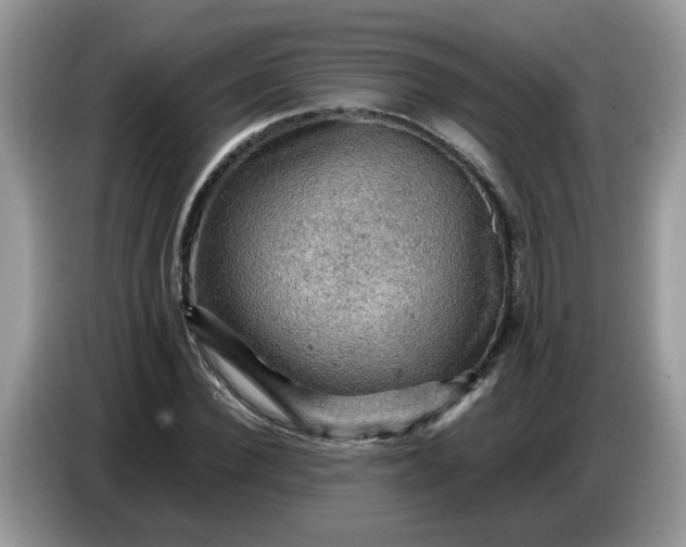 X0000086770924200704271747