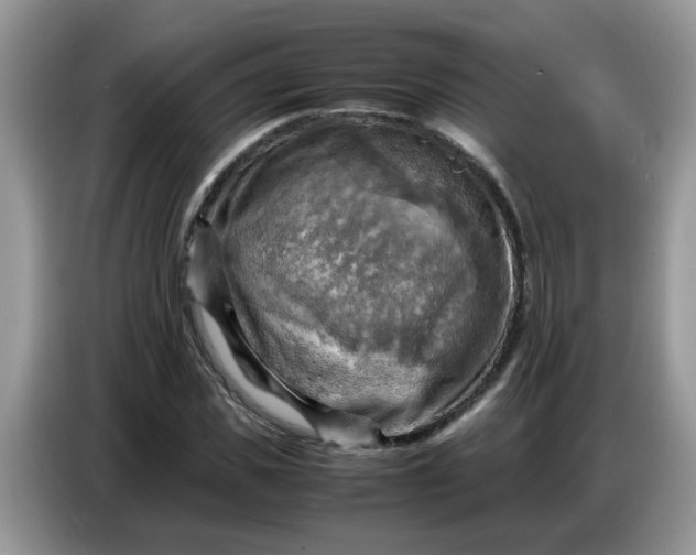 X0000086770925200704271747