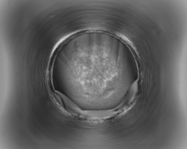 X0000086770928200704271747