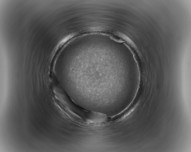 X0000086770930200704271747