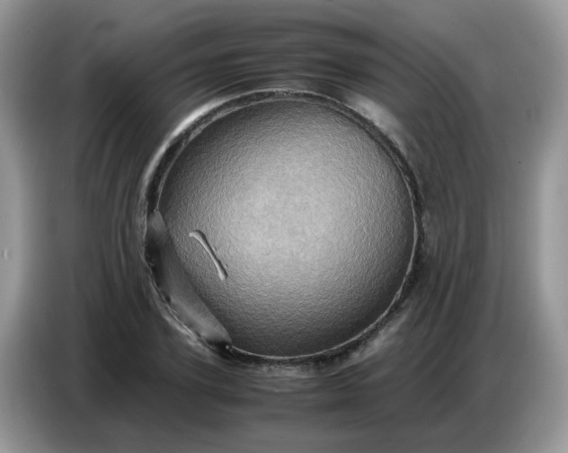 X0000086770931200704271747