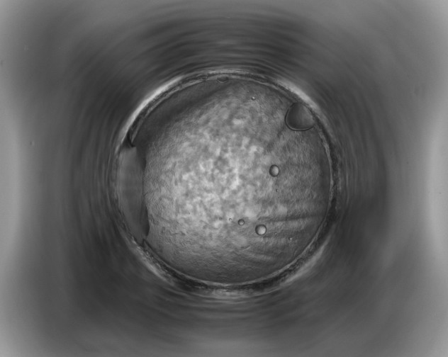 X0000086770933200704271747