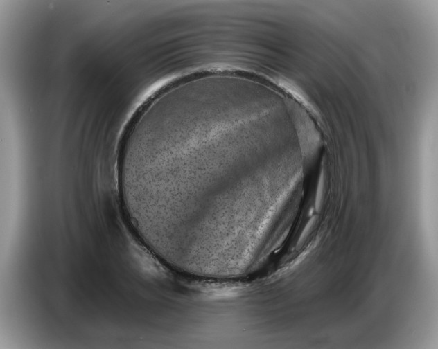 X0000086770934200704271747