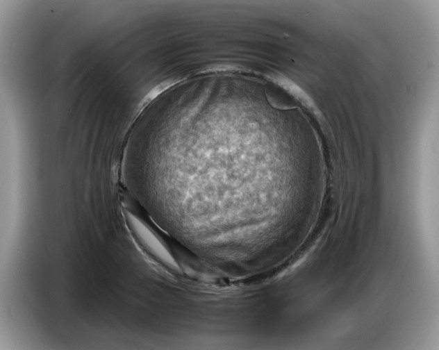 X0000086770937200704271747