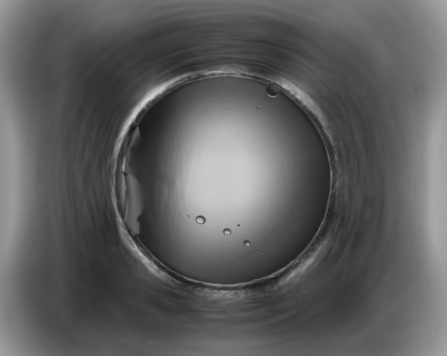 X0000086770941200704271747
