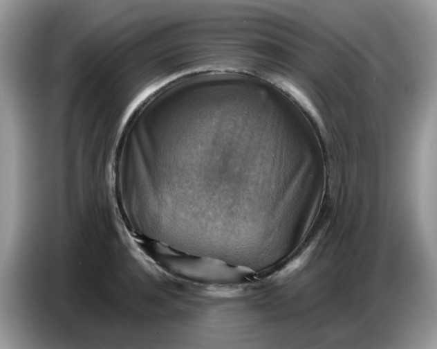 X0000086770944200704271747