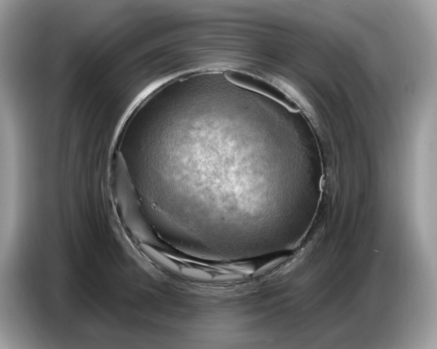 X0000086770948200704271747