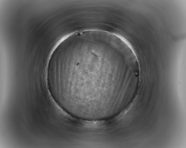 X0000086770949200704271747