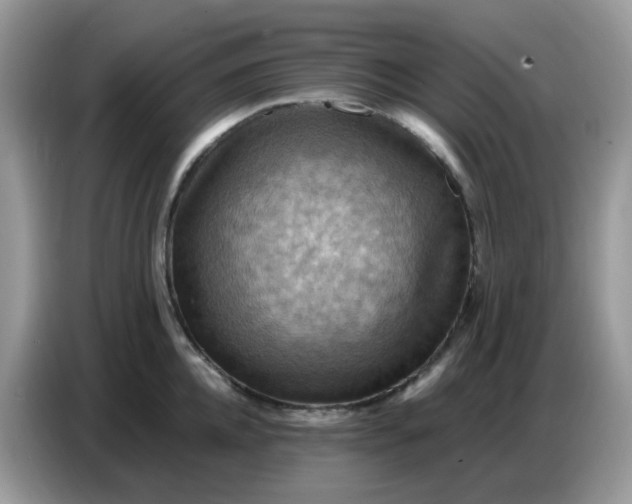 X0000086770952200704271747