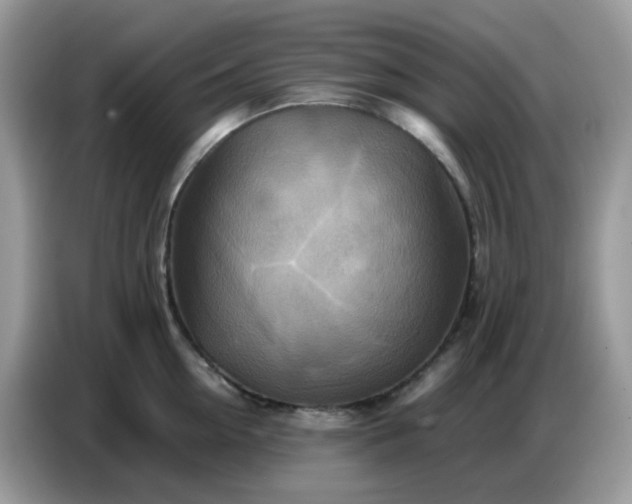 X0000086770954200704271747