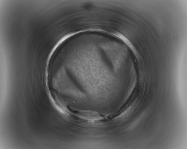 X0000086770955200704271747