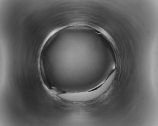 X0000086770958200704271747