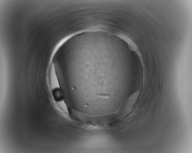 X0000086770960200704271747
