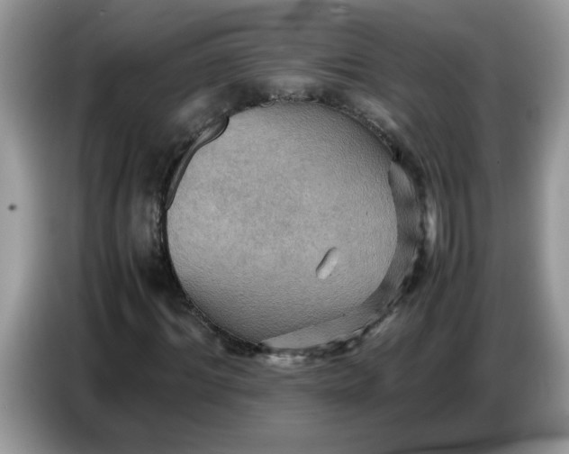 X0000086770964200704271747