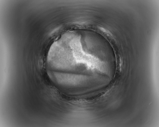 X0000086770966200704271747