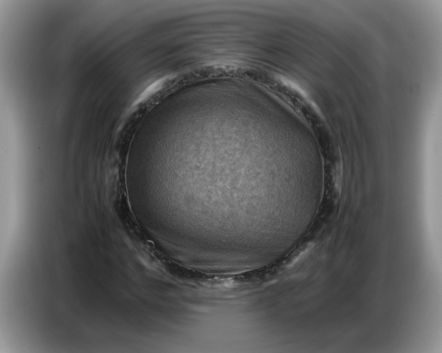 X0000086770968200704271747