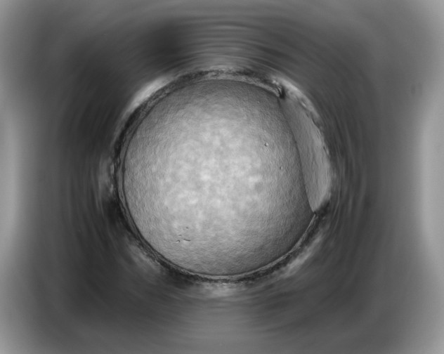 X0000086770970200704271747
