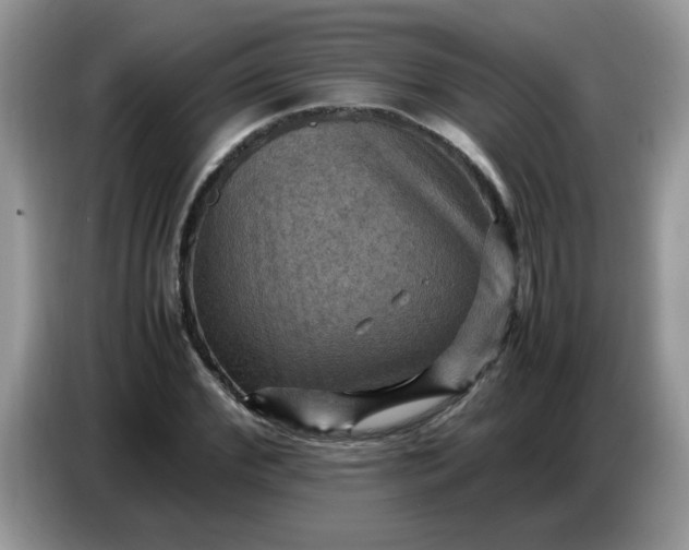 X0000086770972200704271747