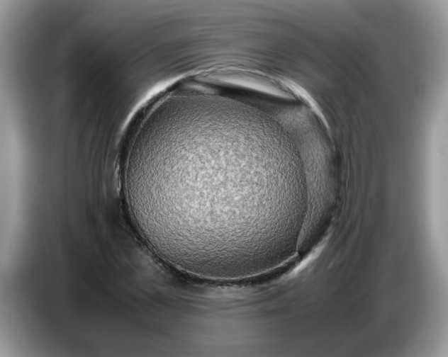 X0000086770973200704271747