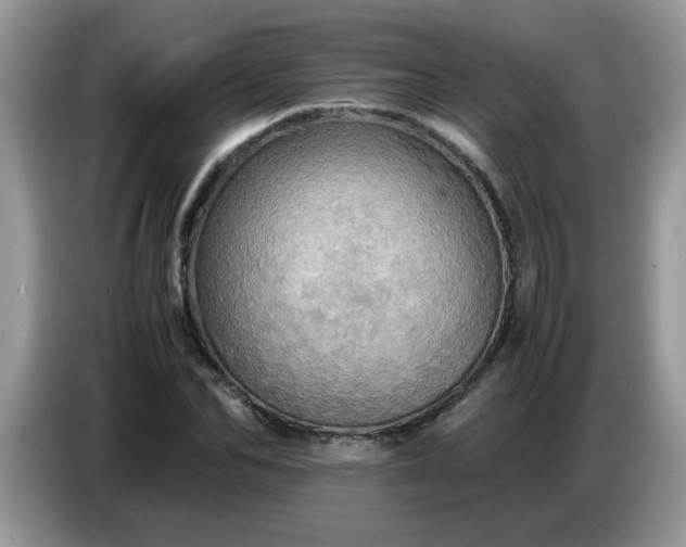 X0000086770974200704271747