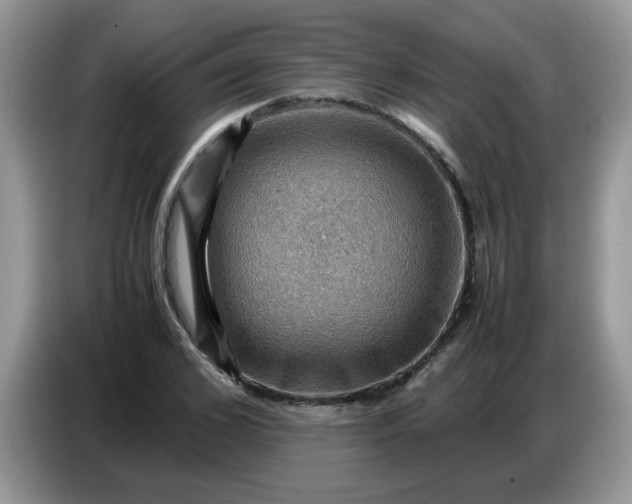 X0000086770976200704271747