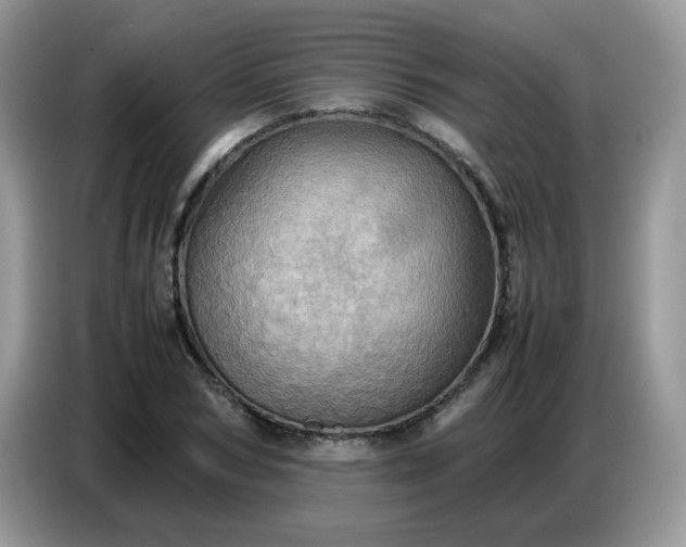 X0000086770978200704271747