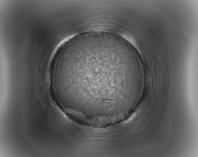 X0000086770979200704271747