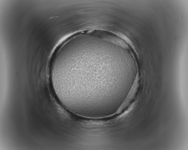 X0000086770981200704271747