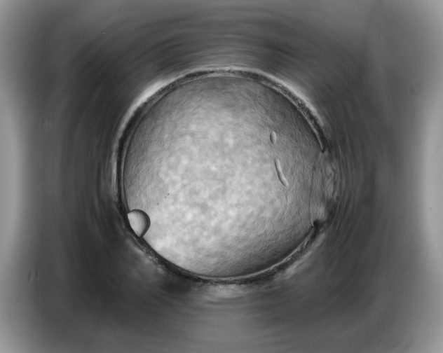 X0000086770982200704271747
