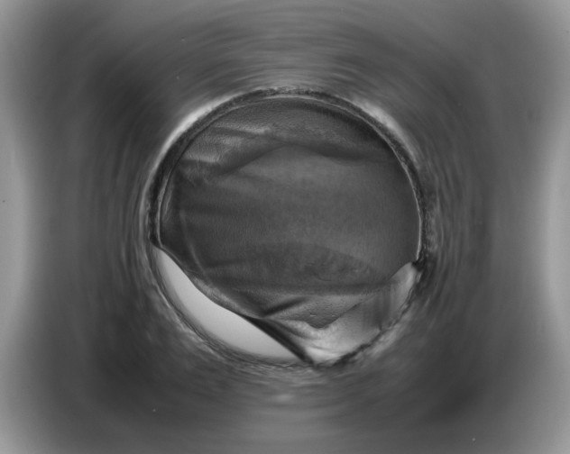 X0000086770983200704271746