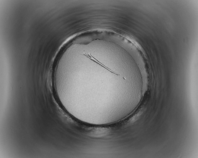 X0000086770984200704271746