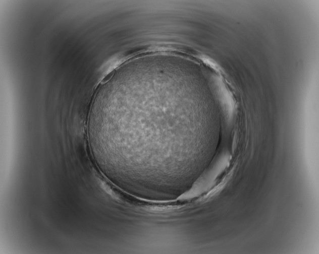 X0000086770985200704271746