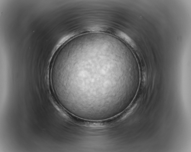 X0000086770986200704271746