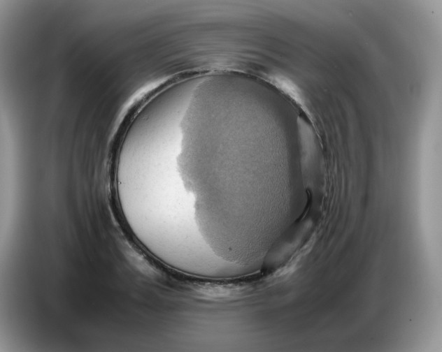 X0000086770987200704271746