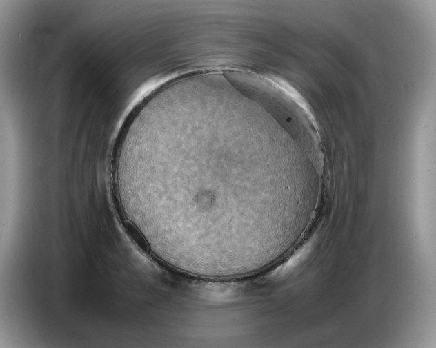 X0000086770989200704271746
