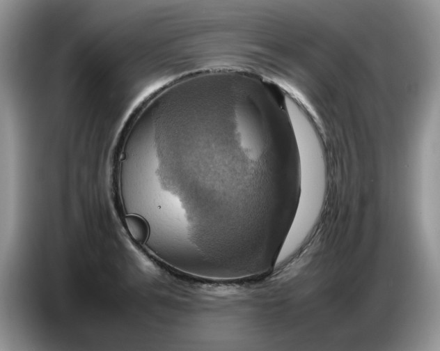 X0000086770991200704271746