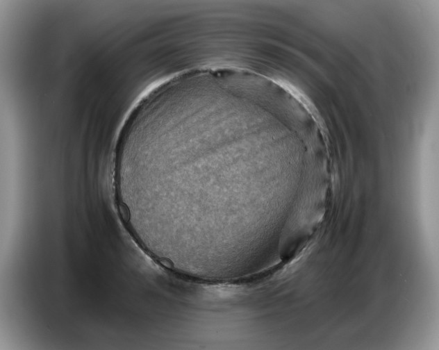 X0000086770992200704271746