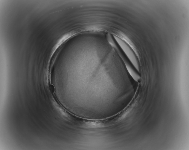 X0000086770994200704271746