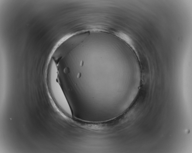 X0000086770995200704271746