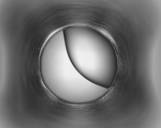 X0000086770996200704271746