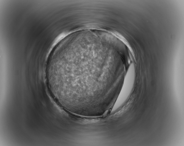 X0000086770997200704271746