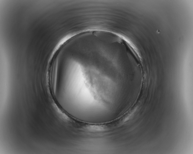 X0000086770998200704271746