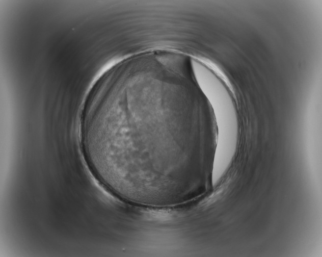 X0000086770999200704271746