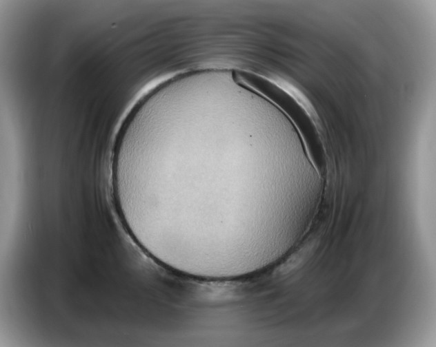 X0000086771000200704271746