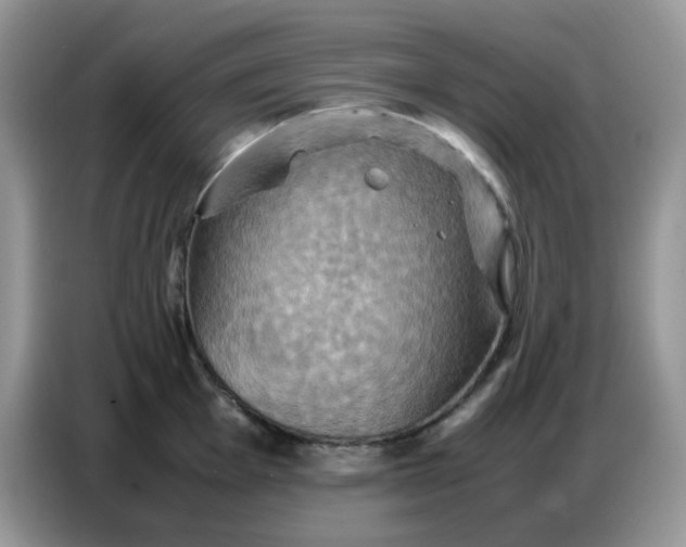X0000086771001200704271746