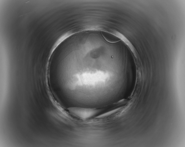 X0000086771002200704271746