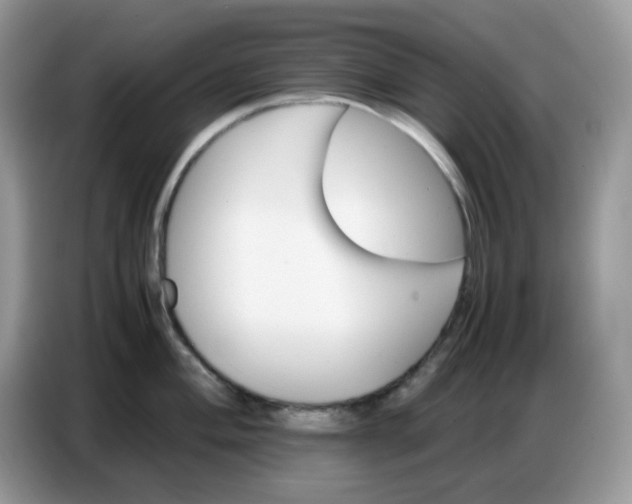 X0000086771004200704271746
