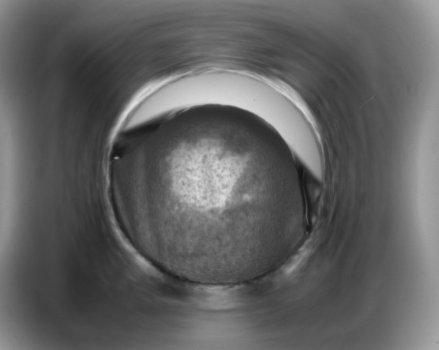 X0000086771005200704271746