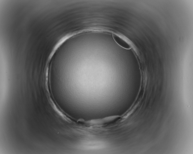 X0000086771006200704271746